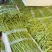长豆角，丽水精品缸豆，新鲜刚刚上市，60公分长