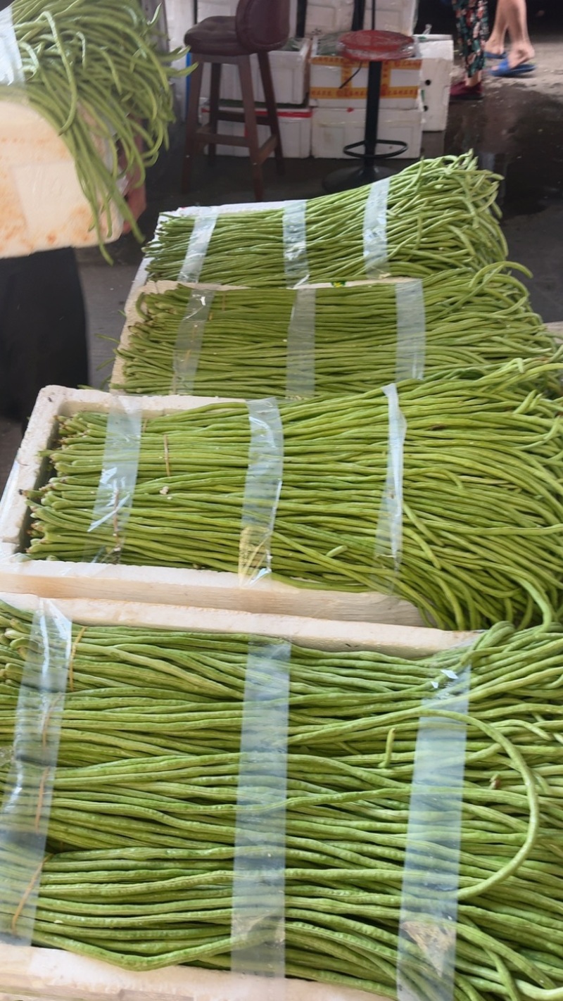 长豆角，丽水精品缸豆，新鲜刚刚上市，60公分长