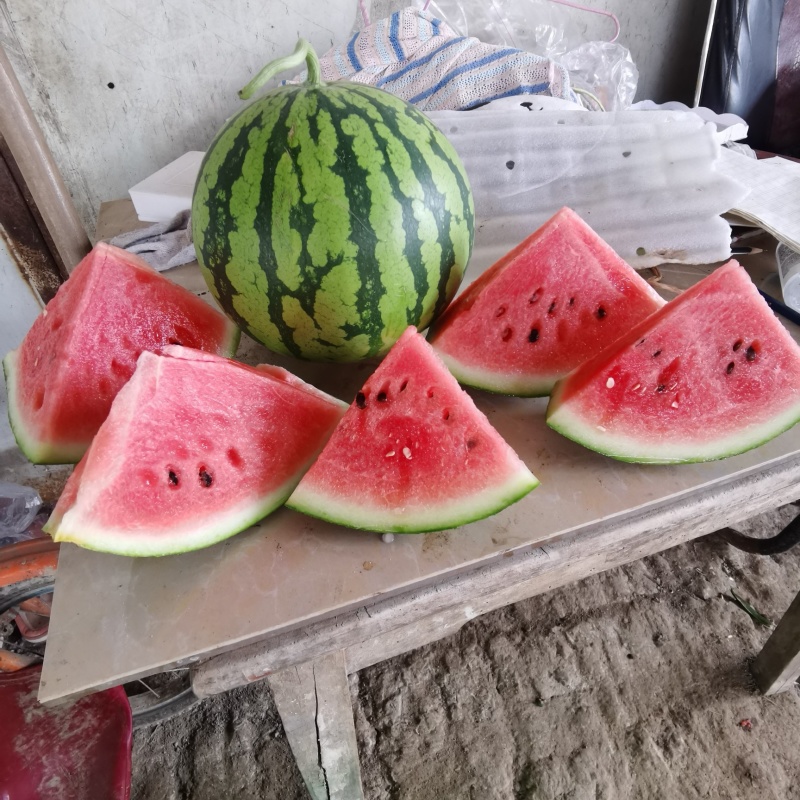 《精选》8424西瓜/夏邑西瓜/基地代发全国/包熟包甜