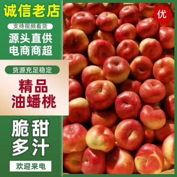 广宗县油蟠桃货源充足量大从优产地直发新鲜采摘欢迎咨