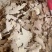 土茯苓干片地摊电商批发无硫磺土茯苓片白土茯苓干片干