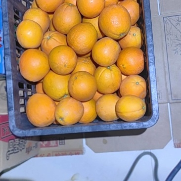 精品无打蜡无农药