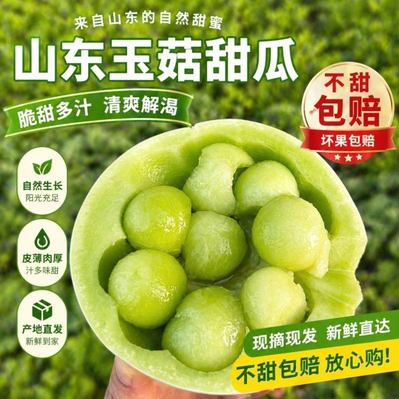 山东精品玉菇甜瓜，一件代发，对接各大电商商超等，诚信经营
