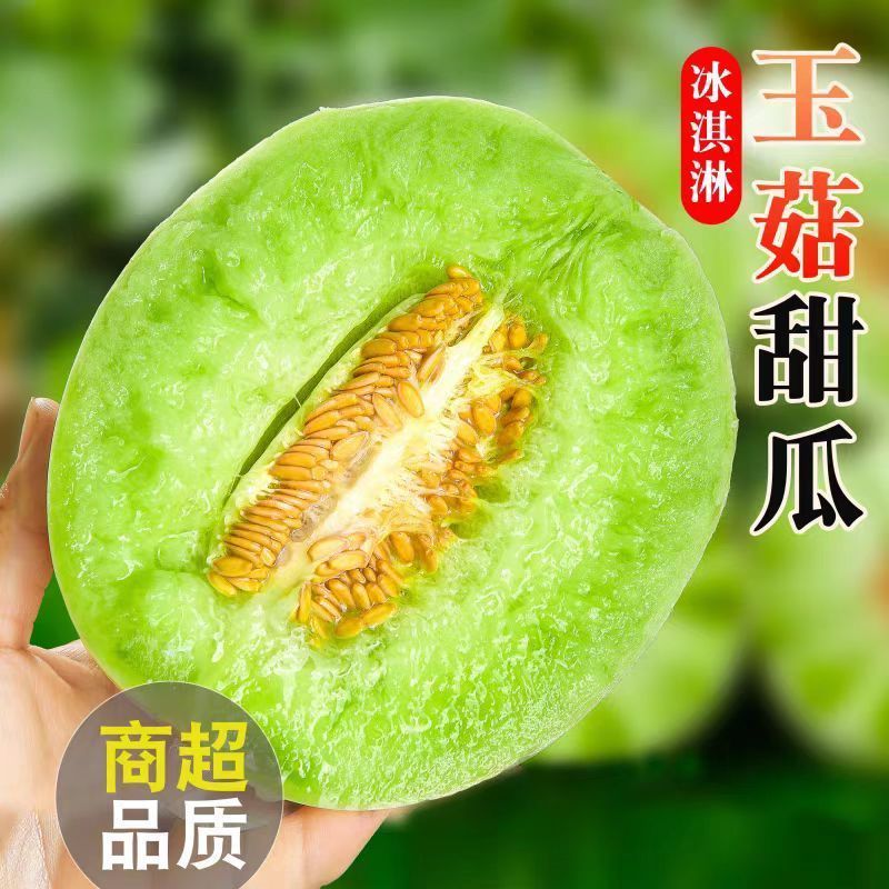 山东精品玉菇甜瓜，一件代发，对接各大电商商超等，诚信经营