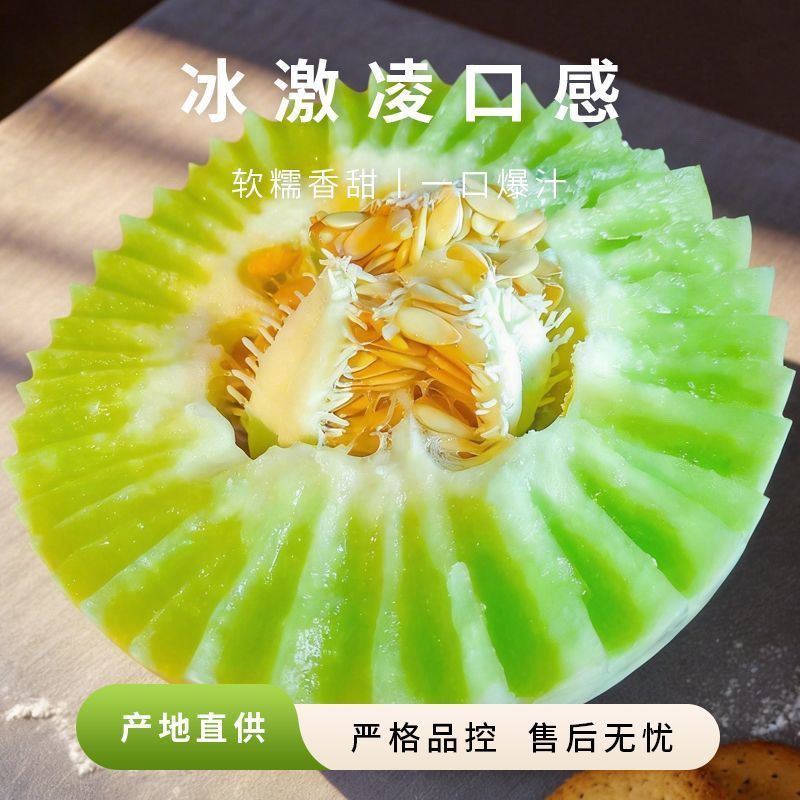 山东精品玉菇甜瓜，一件代发，对接各大电商商超等，诚信经营