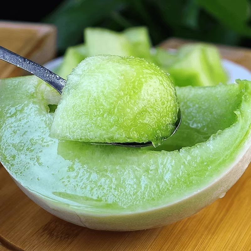 山东精品玉菇甜瓜，一件代发，对接各大电商商超等，诚信经营