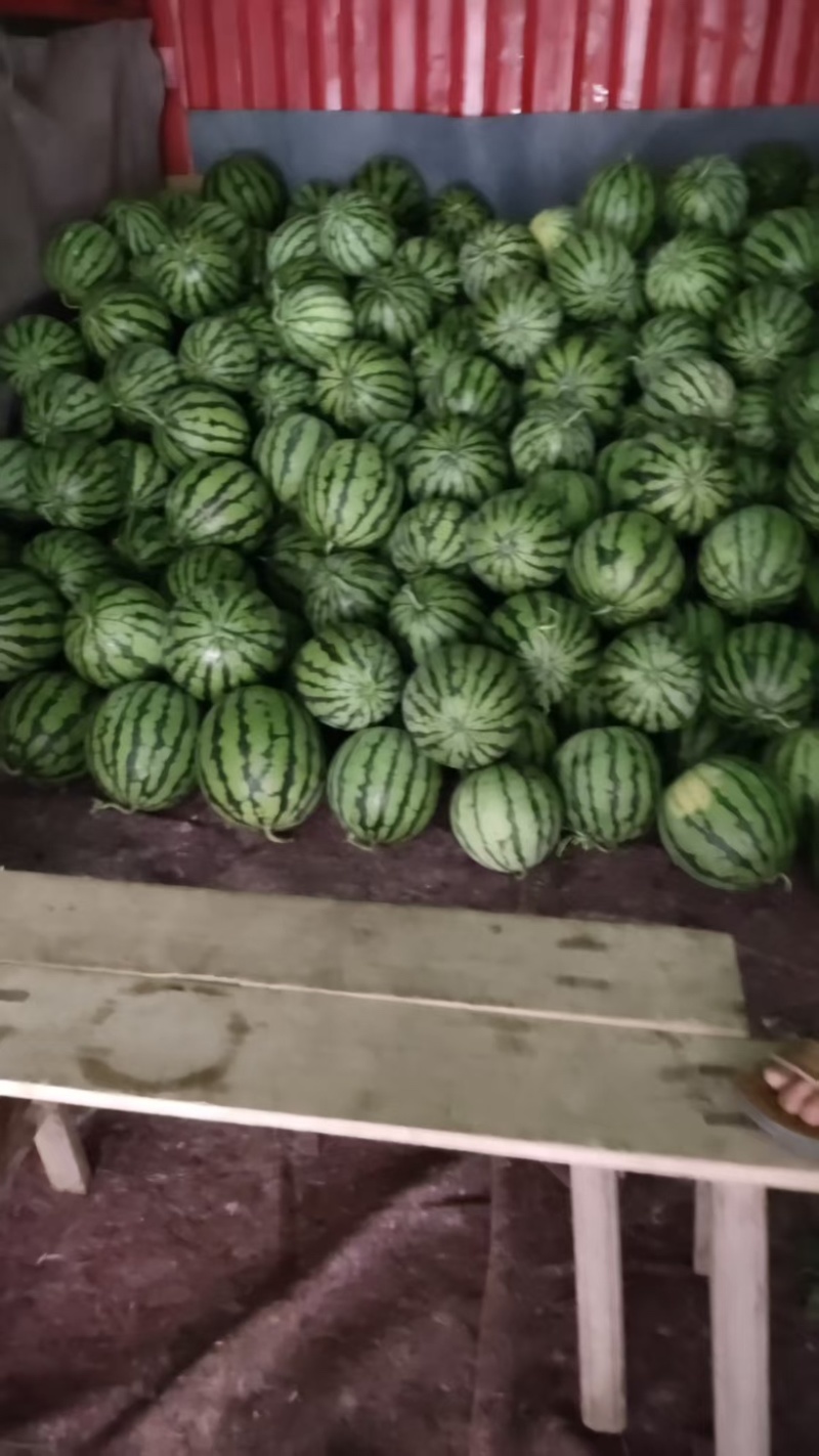 瑞丽美都麒麟西瓜（精品）