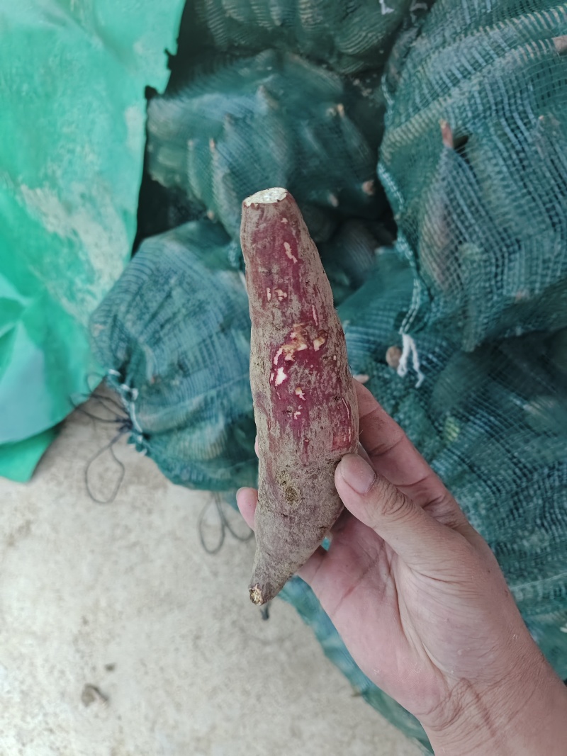 丝滑榴莲蜜薯高次