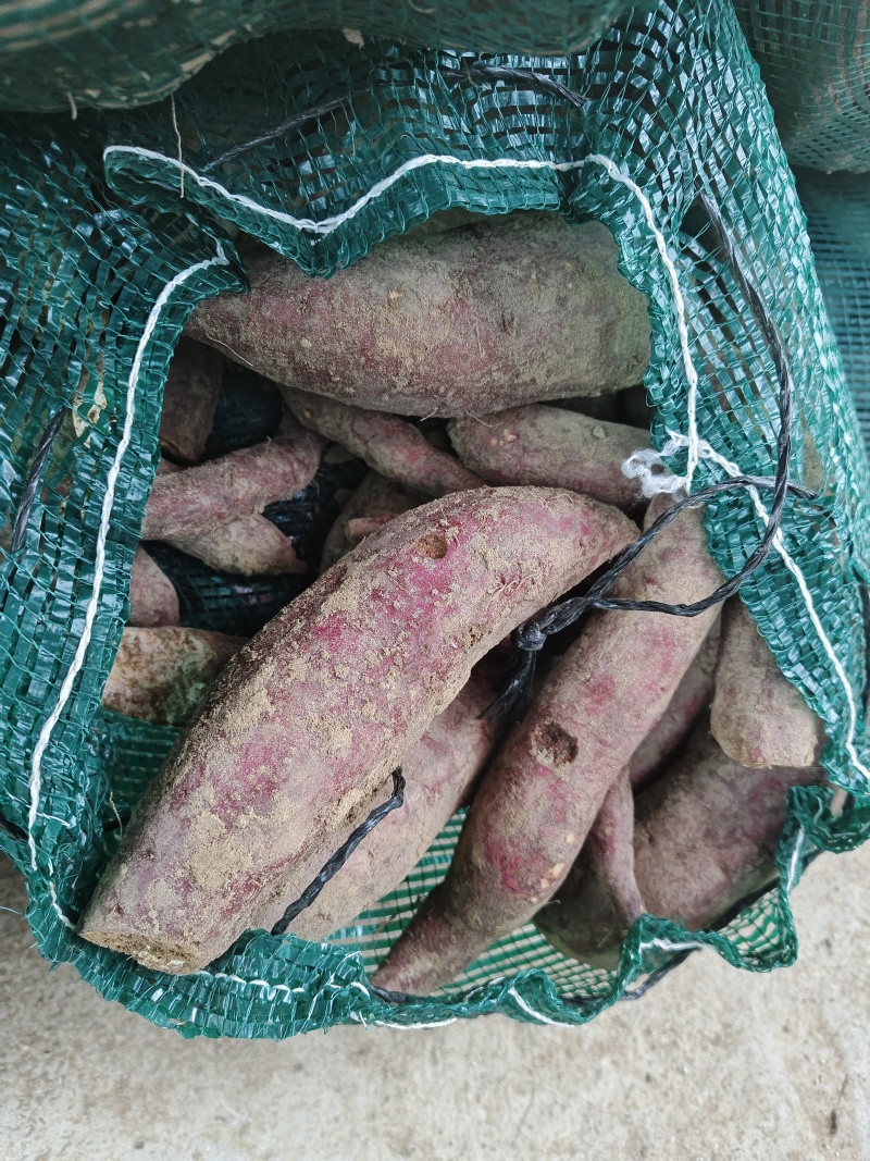 丝滑榴莲蜜薯高次