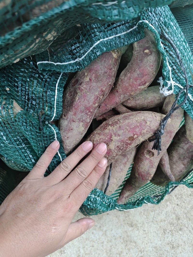 丝滑榴莲蜜薯高次