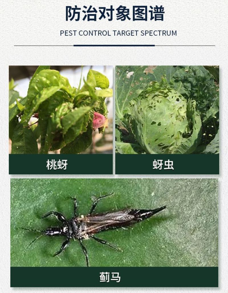 沪联爱美乐70%吡虫啉桃树桃蚜甘蓝蚜虫农药杀虫剂
