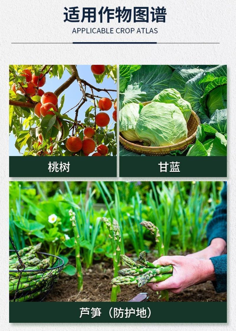 沪联爱美乐70%吡虫啉桃树桃蚜甘蓝蚜虫农药杀虫剂