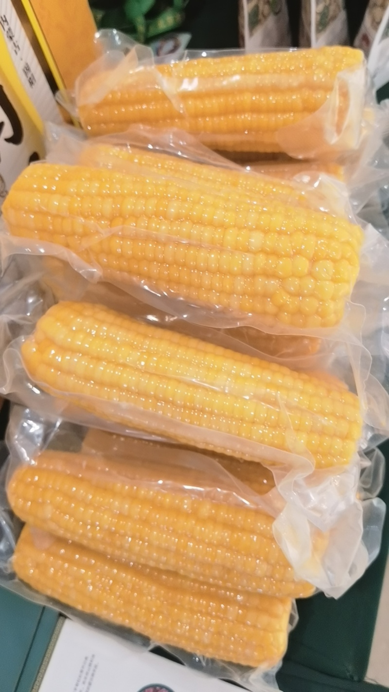巴彦淖尔甜糯玉米对接电商商贸批发市场支持一件代发