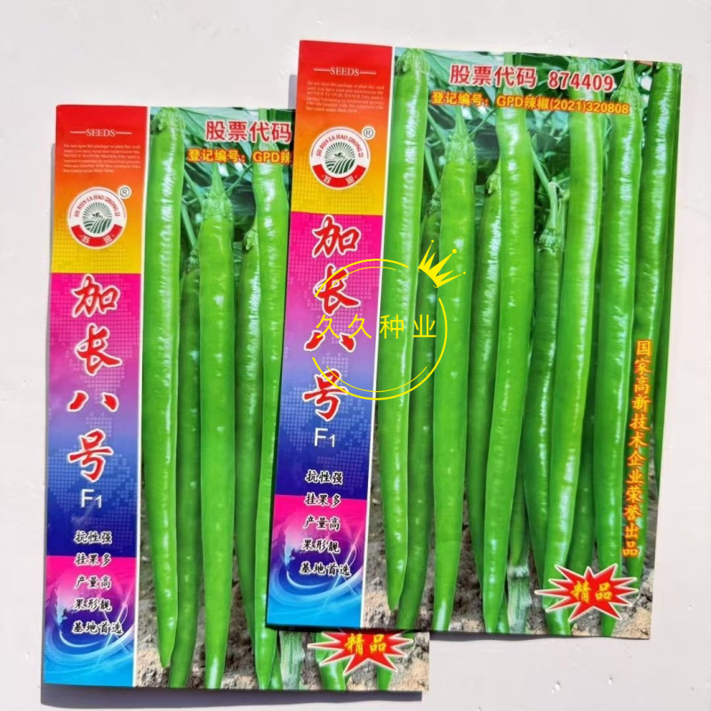 苏润加长八号早熟长果线椒种子果色翠绿光滑顺直肉厚辣味浓