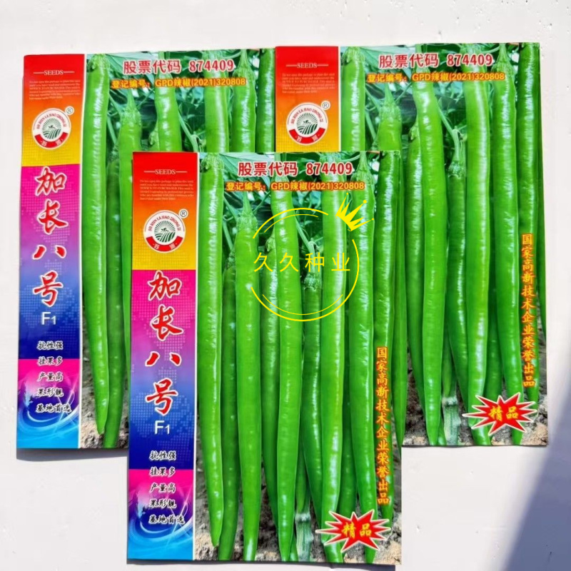 苏润加长八号早熟长果线椒种子果色翠绿光滑顺直肉厚辣味浓