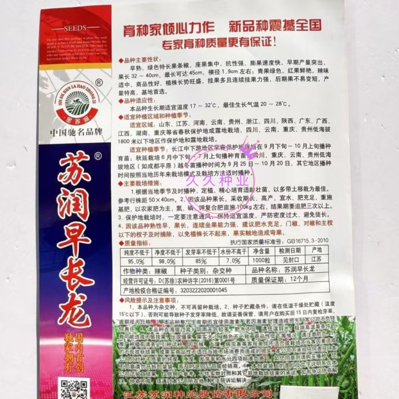 苏润早长龙线椒种子高产抗病早熟辣椒种子春秋绿色特长果条椒