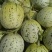 香瓜甜瓜久红瑞小蜜25玉菇红金蜜大量现货