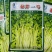 泰皇国白骨黄心芹种子特耐热芹菜种子黄心芹菜种籽夏秋栽培