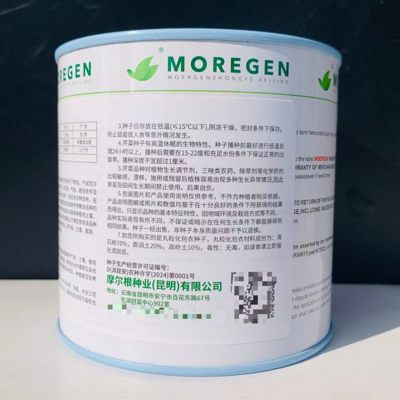 摩尔根安娜芹菜种子丸粒化西芹种籽文图拉西芹种子适合基地