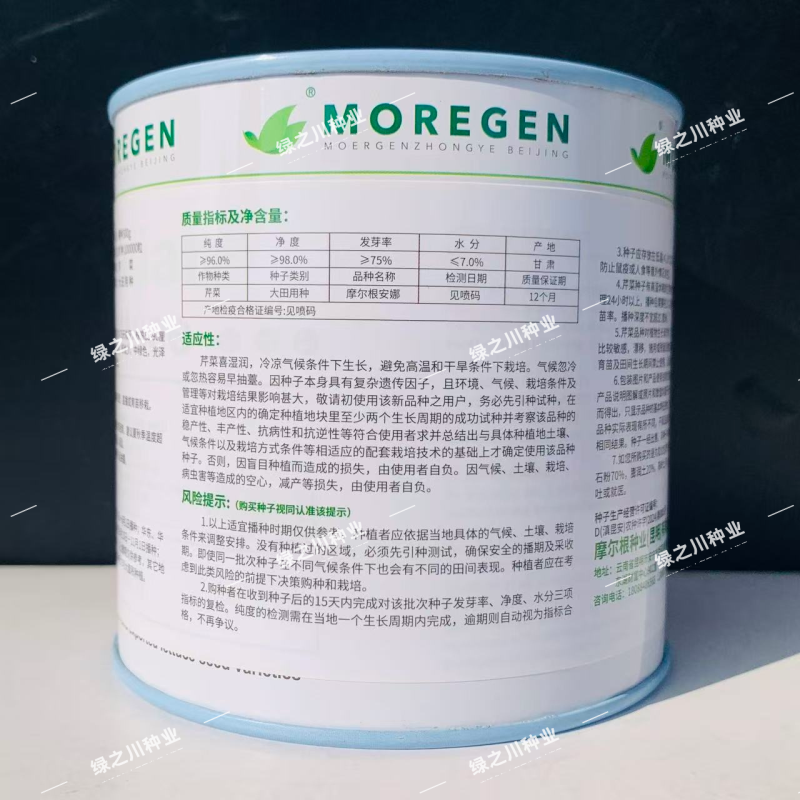 摩尔根安娜芹菜种子丸粒化西芹种籽文图拉西芹种子适合基地