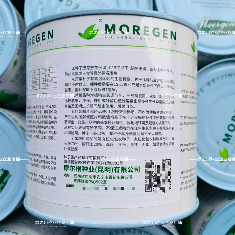 摩尔根安娜芹菜种子丸粒化西芹种籽文图拉西芹种子适合基地
