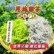 恩施藤茶嫩芽龙须