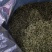 湘西高山云雾绿茶，红茶，电话和微***********