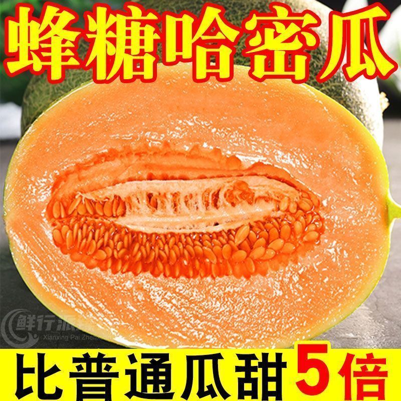 海南哈密瓜