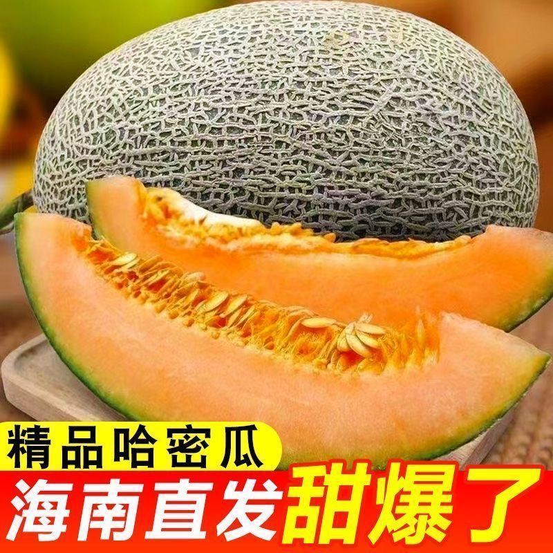 海南哈密瓜