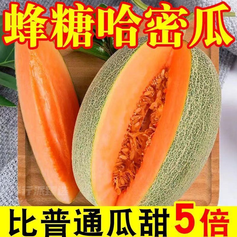 海南哈密瓜