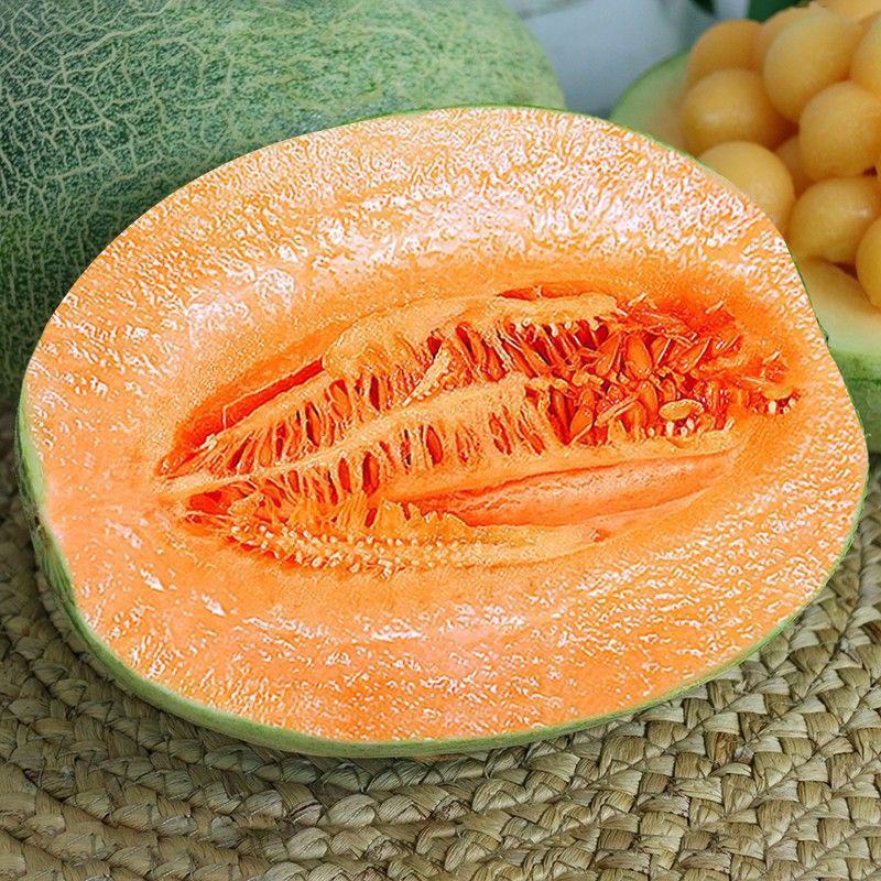 海南哈密瓜