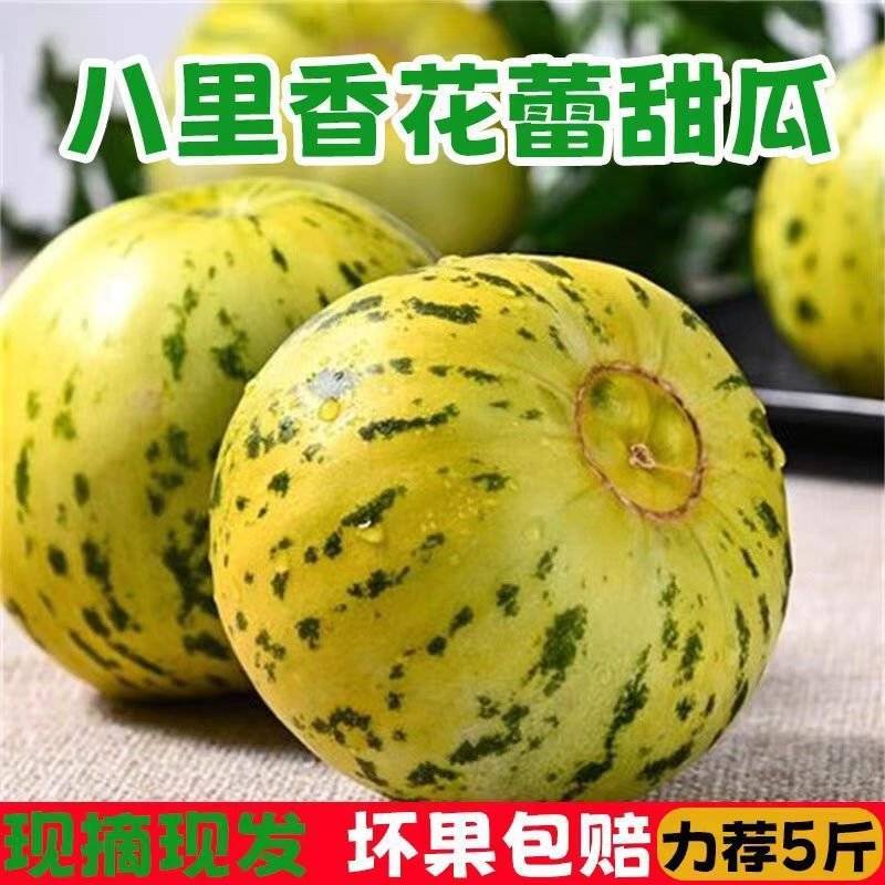 山东临沂费县花蕾甜瓜仅支持一件代发所有平台均可代发