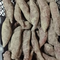 红薯榴莲蜜薯