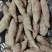 红薯榴莲蜜薯