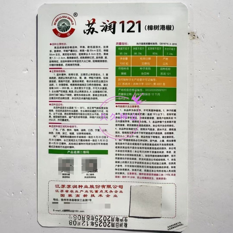 苏润121樟树港椒种子正宗樟树港椒香辣甜短羊角椒小青椒尖