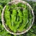 苏润大椒大型牛角椒种子早熟微辣大果挂果多膨果快农家春秋播