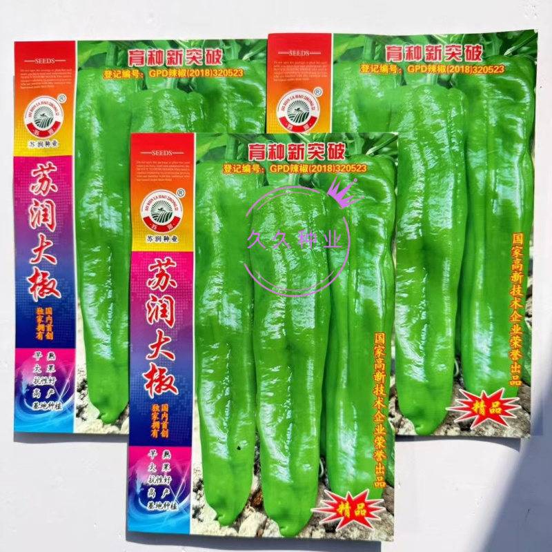 苏润大椒大型牛角椒种子早熟微辣大果挂果多膨果快农家春秋播