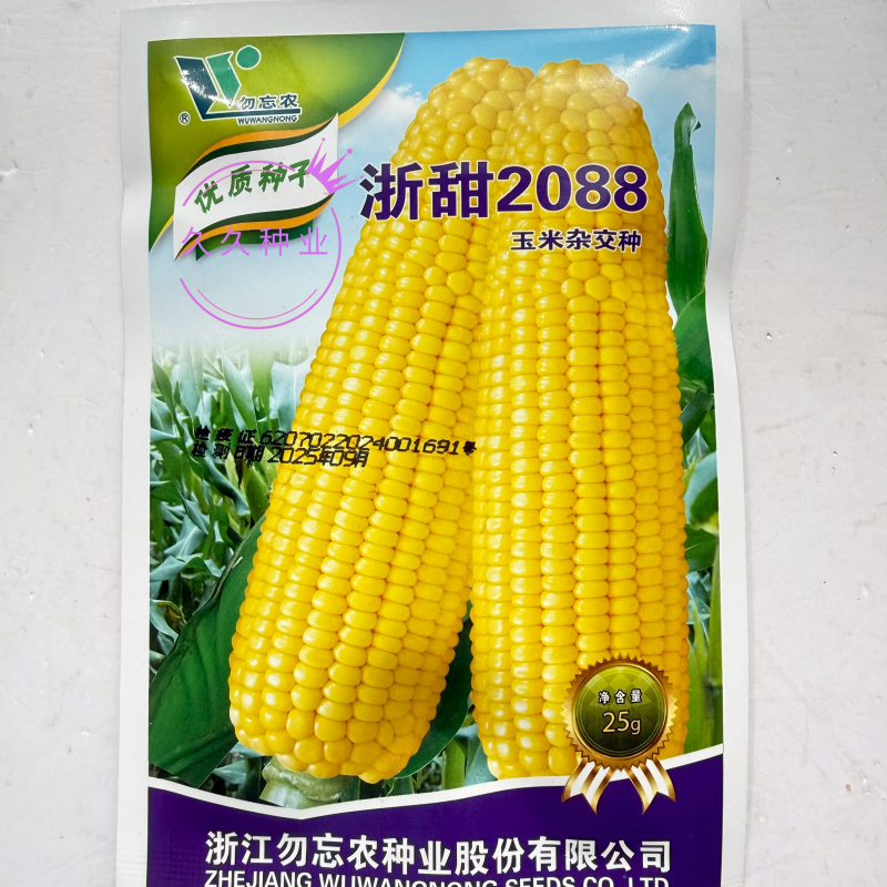 浙甜2088水果玉米种子高产抗病大棒型甜脆黄玉米种籽