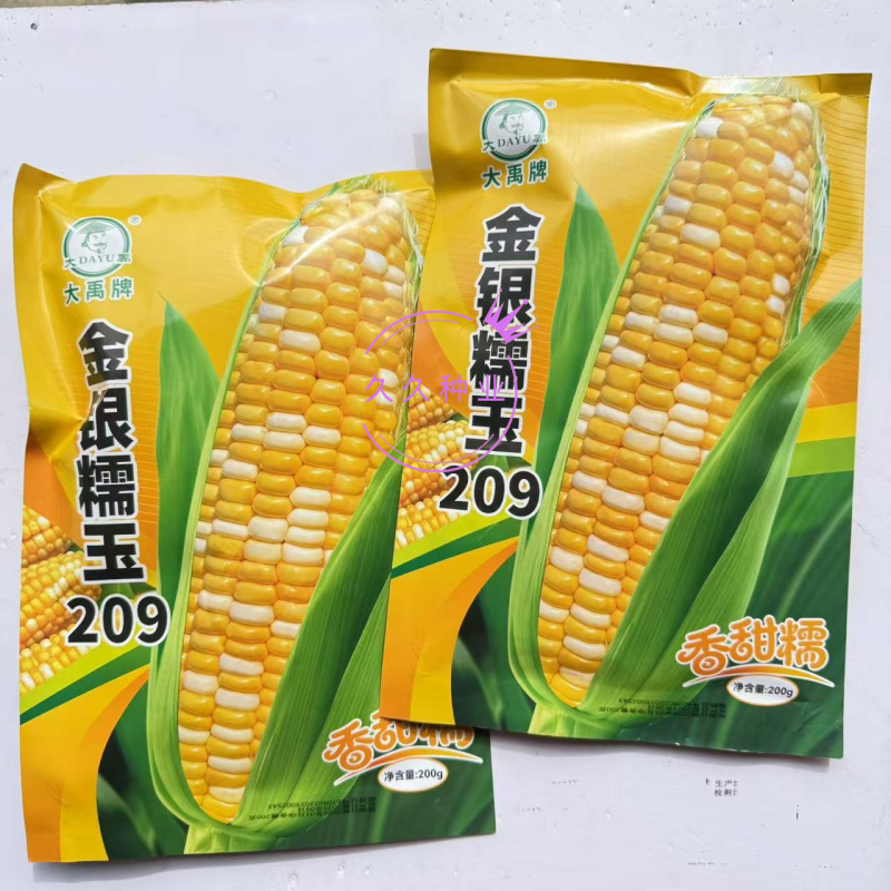 大禹金银糯玉209双色香甜糯玉米种子苞叶绿不秃尖软糯无渣