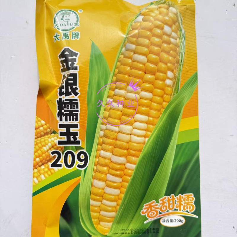 大禹金银糯玉209双色香甜糯玉米种子苞叶绿不秃尖软糯无渣