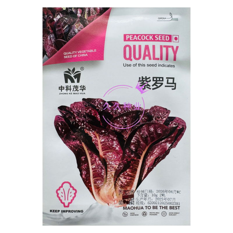 紫罗马生菜种子紫孔雀菜脆甜耐热夏秋生菜四季家庭院播蔬菜种