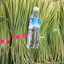 红帽蒜薹