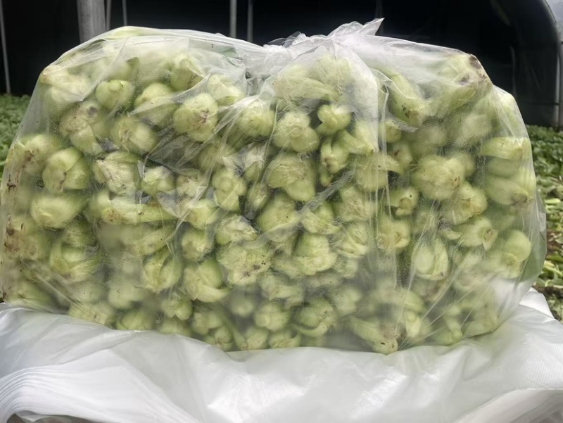 大量供货中，常年有货，不断货，欢迎广大客户光临洽谈
