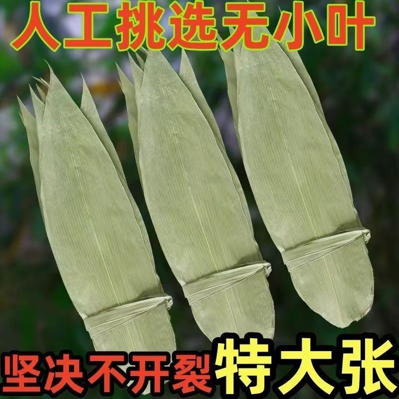 特大号野生干粽叶新鲜包粽子端午必备粽叶干大号家用粽子叶干