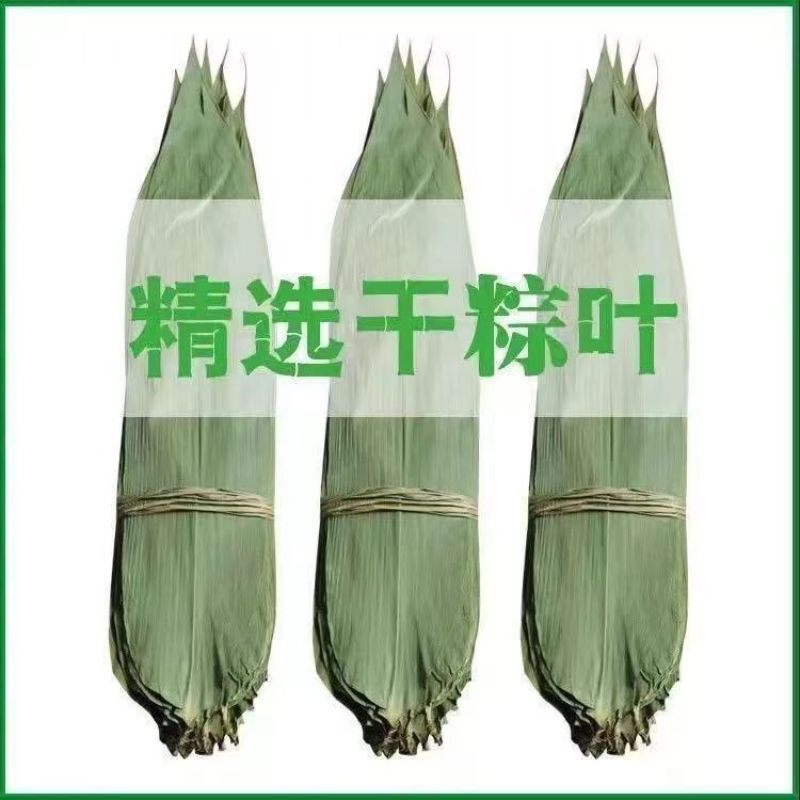 特大号野生干粽叶新鲜包粽子端午必备粽叶干大号家用粽子叶干
