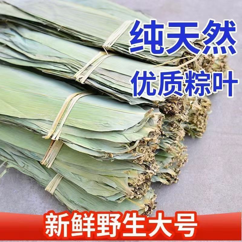 特大号野生干粽叶新鲜包粽子端午必备粽叶干大号家用粽子叶干