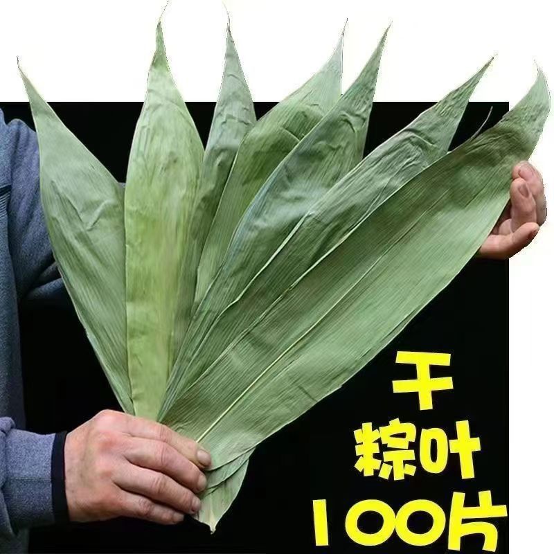 特大号野生干粽叶新鲜包粽子端午必备粽叶干大号家用粽子叶干