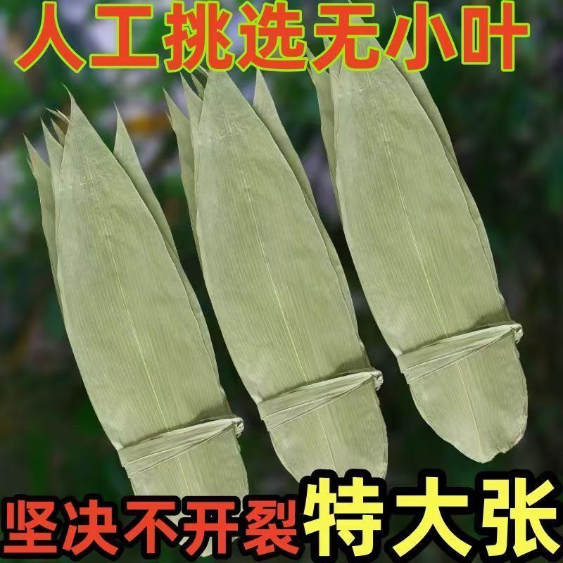 特大号野生干粽叶新鲜包粽子端午必备粽叶干大号家用粽子叶干