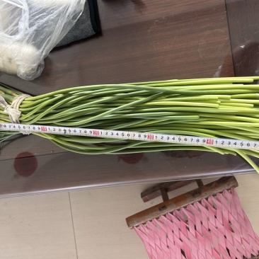 商河精品蒜苔蒜薹