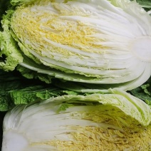 黄心大白菜
